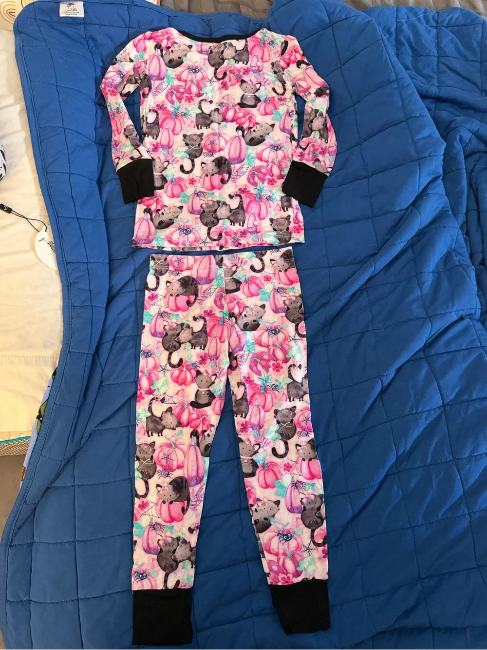 Birdie Bean Buffy Long Sleeve Pants Bamboo Pajamas 3T VGUC